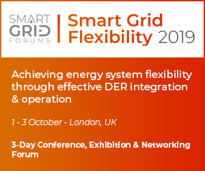 Smart Grid Flexibility 2019