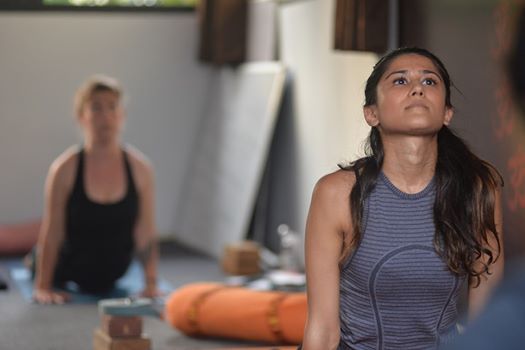 Scholarships Yoga Teacher Training in India